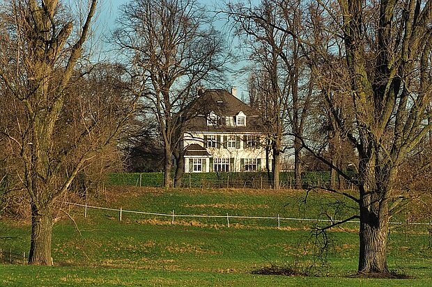 Bäume auf einer Wiese, im Hintergrund ein Haus