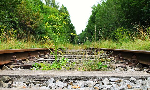 alte Schienen im ländlichen Gebiet