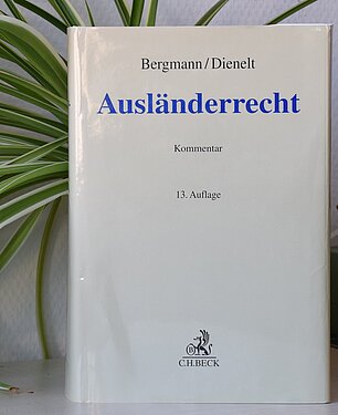 Buch Kommentar zum Ausländerrecht