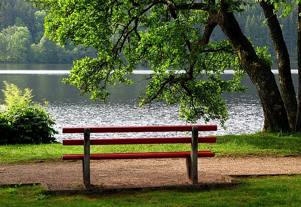 Bank am Wasser in einem Park