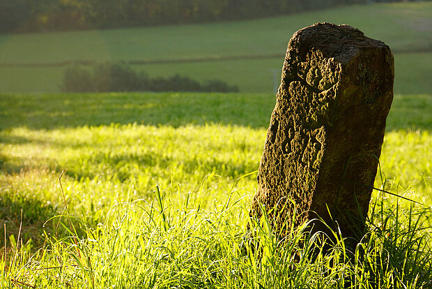 alter Grenzstein auf Wiese